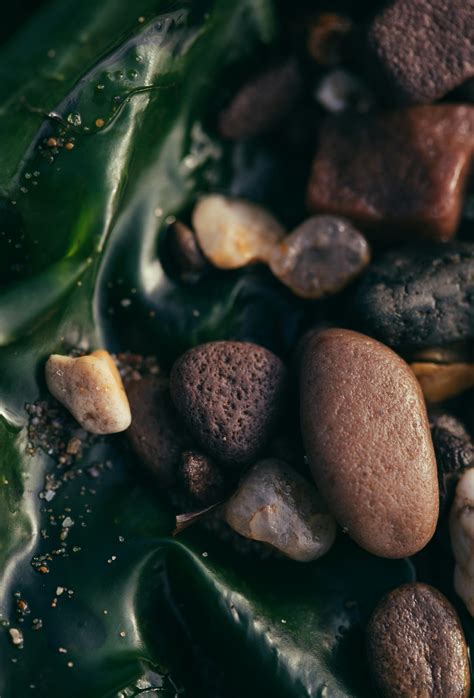 Brown and Gray Rocks on River · Free Stock Photo