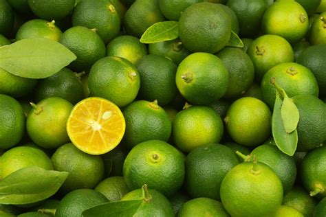 What is Calamansi? A Guide to Its Flavor and Uses - epicureanearth.com
