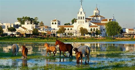 El Rocio Tourism (2023): Best of El Rocio, Spain - Tripadvisor