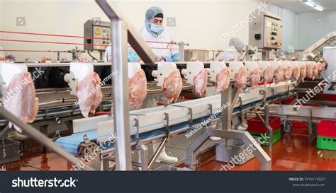 Inside Cattle Processing Plant Video 的图像结果