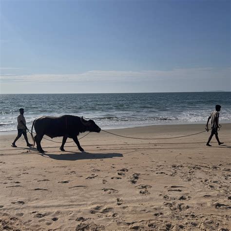 BETALBATIM BEACH (2026) All You Need to Know BEFORE You Go (with Photos ...