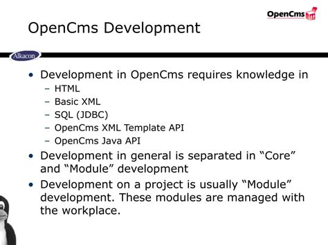 OpenCms File 的图像结果
