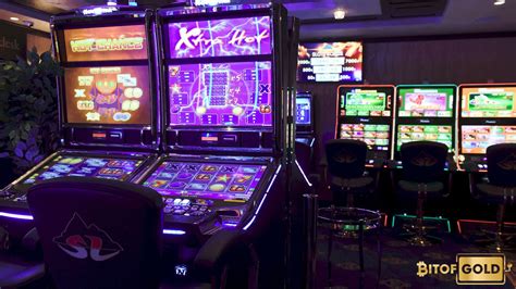 golden 101z login,this app is perfect