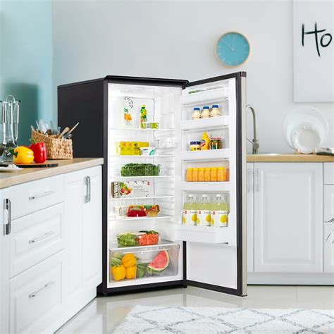 Danby Designer 11.0 cu. ft. Apartment Size Fridge in Stainless Steel ...