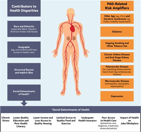 Peripheral Arterial Occlusive Diseases Vs
