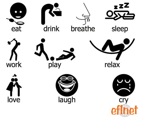 English Verbs for Beginners 的图像结果