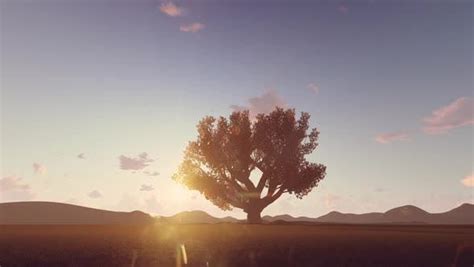 Image result for Nature Motion Graphics