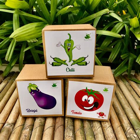 DIY Gardening 3 Vegetable Kits | Tomato + Brinjal + Chilli – Sow and Grow®