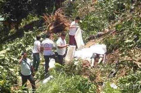 中国旅行团在泰国普吉岛遭遇车祸坠崖,3名中国游客遇难,境外游保险别忽略-泰游趣
