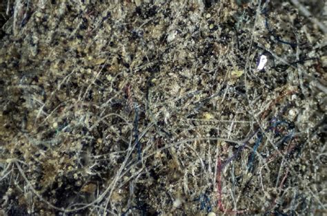 Dust Particles 的图像结果