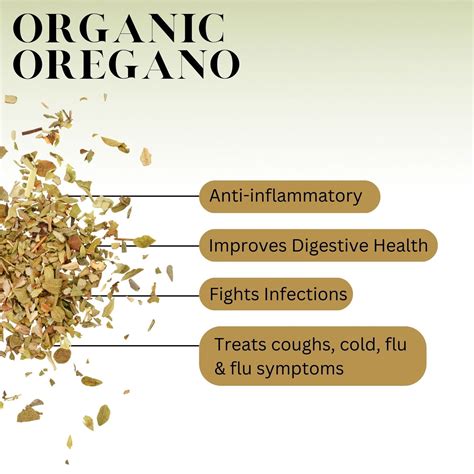 Oregano Tea Health Benefits