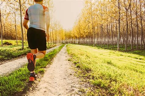 Often Exercise 的图像结果