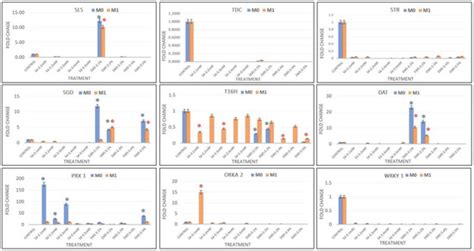 Ethyl Methane Sulfonate and Sodium Azide-Mediated Chemical and X-ray ...