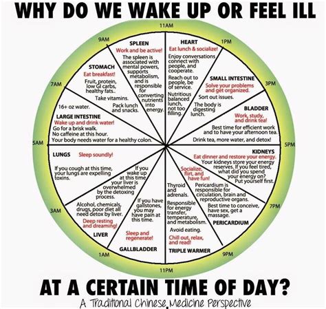 Chinese Medicine Wheel Guide & Meaning