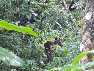 Memorable 7 Days kathmandu with Trip Package | kathmandu, Trip Package ...