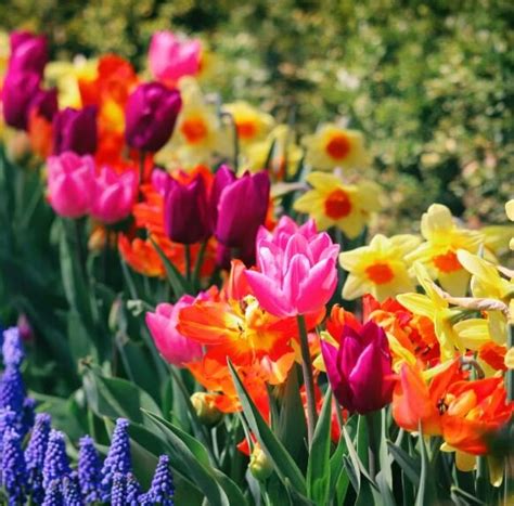 Feldman Mortuary | Recent Obituaries | Denver, Colorado | Who Passed On