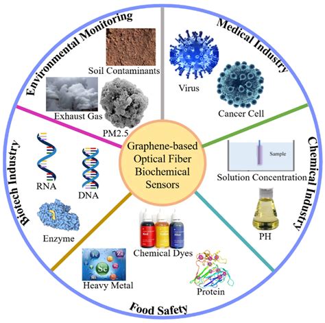 Optical Fiber Biochemical Sensors Based on Graphene | Encyclopedia MDPI