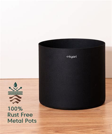 Croton Petra with Metal Self Watering Pot – Kyari.co