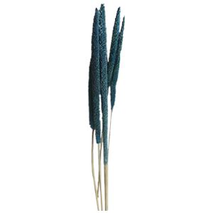 Buy RUKDA® Dried Blue Sorghum Flower Sheaves | Stalks Dried Flower Dry ...