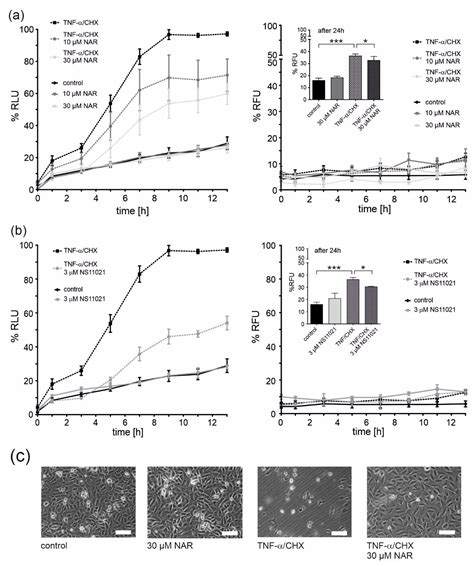 Regulation of the Mitochondrial BKCa Channel by the Citrus Flavonoid ...