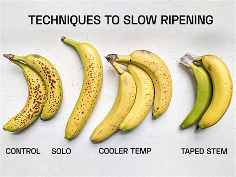 5 Ways To Know The Best Season For Bananas Is Here