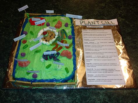 Pin by Rebecca Rock on Learning | Plant cell, Plant cell cake, Edible ...
