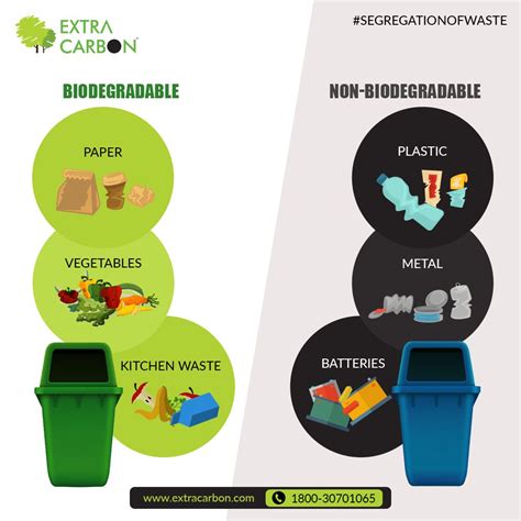 Image result for Biodegradable Waste Example