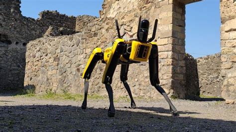 Machine Robot Spot 的图像结果