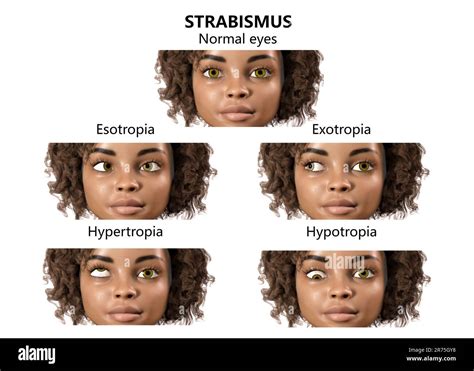 Rezultat imagine pentru Computer and Types