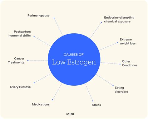 The Hidden Cost: Why Low Estrogen Causes Bone Loss And More
