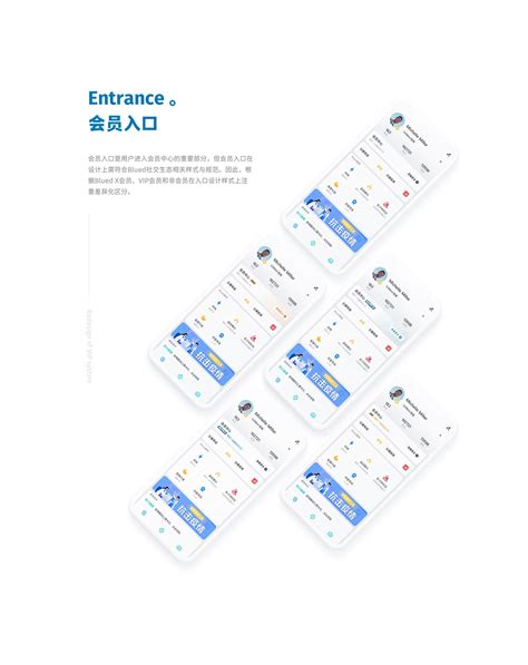 Member System 的图像结果