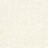 Tropic Ivory 600x600 mm Glossy Finish Tile - 1 mm Rak Ceramics Tropic ...