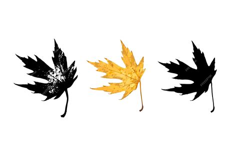 Liść klonu realistyczny rysunek sylwetka wydruku | Wektor Premium