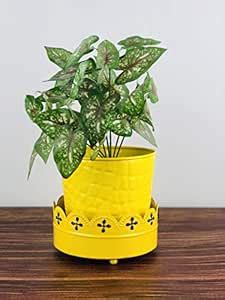 Go Hooked Metal Planter with Metal Stand for Living Room Bedroom ...