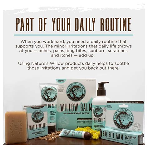 Buy Nature's Willow - Natural Bug Bite Relief Patch - 40 Count ...