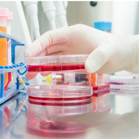 State of the Art der adjuvanten endokrinen Therapie des Mammakarzinoms ...