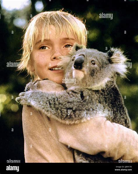 RICK SCHRODER, KOALA BEAR, THE EARTHLING, 1980 Stock Photo - Alamy
