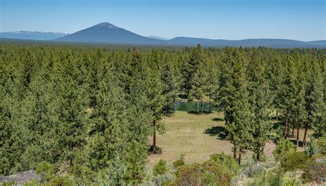 Central Oregon Market Report | June 11, 2025