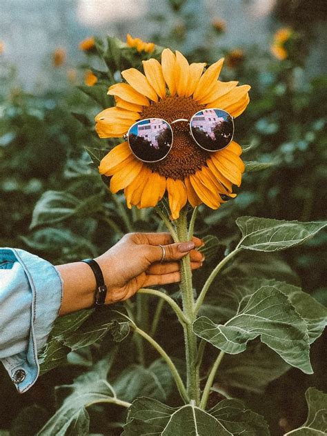 Pin by diana on flowers flower iphone wallpaper aesthetic iphone wallpaper vintage flowers wallpaper – Artofit