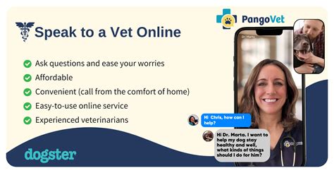 Can Dogs Get STDs? Important Health Facts (Vet Answer) – Dogster