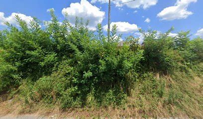 Pinkard Funeral Home - Funeral Homes Listings