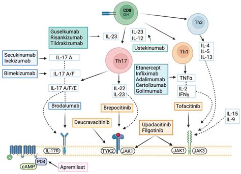 Psoriatic Arthritis: Pathogenesis and Targeted Therapies