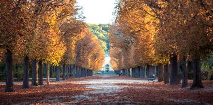 10 Things to Do in Vienna in September - Hellotickets
