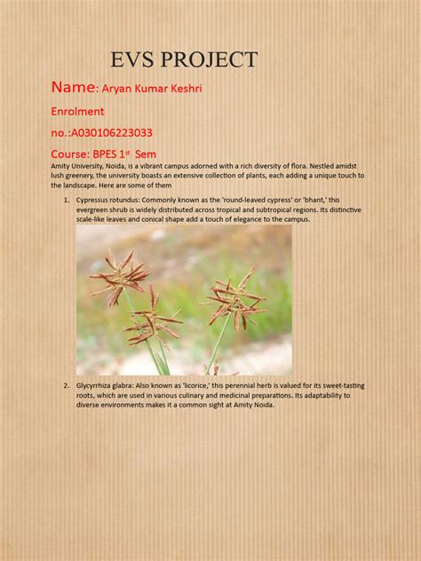 Image result for EVS Project Topics with Their Solutions