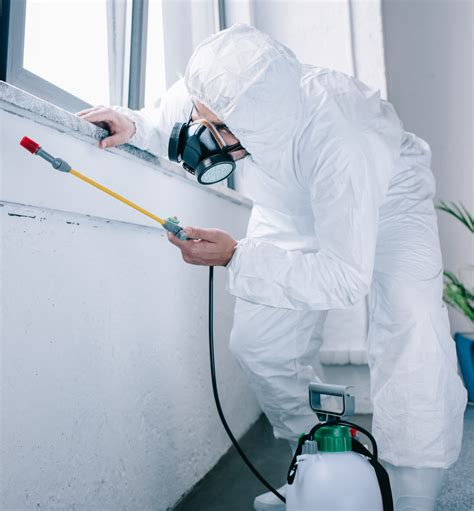 Cockroach Infestation Solutions 的图像结果