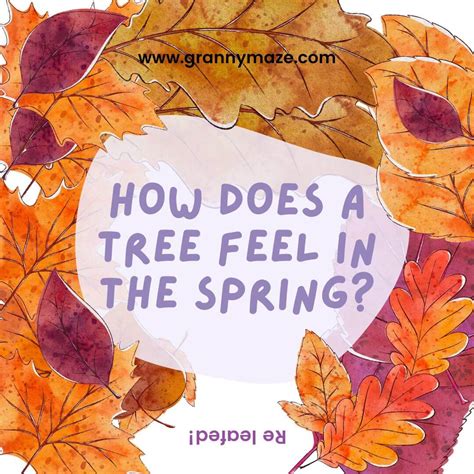 Off Color Jokes For Seniors