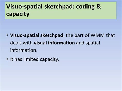 Mod 3 working memory model slides | PPTX