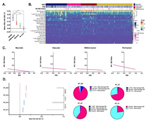 Relationship between Macrophage and Radiosensitivity in Human Primary ...