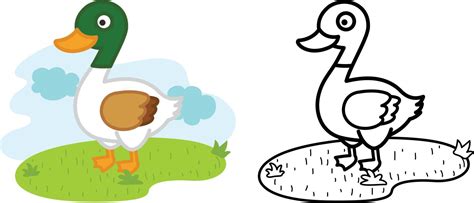 Image result for Duck Single Line Drawing