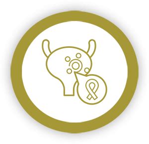 Advanced Urological Cancer Surgery in Gurgaon | Care at Artemis Hospitals